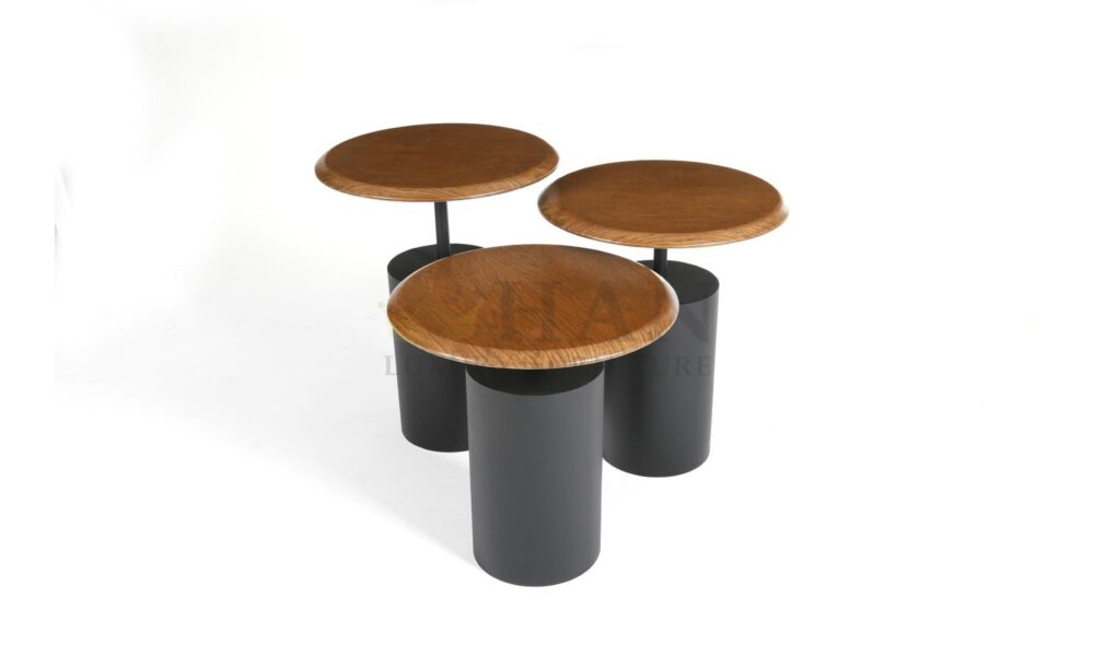 Oslo Zigon Sehpa Seti Han Mobilya